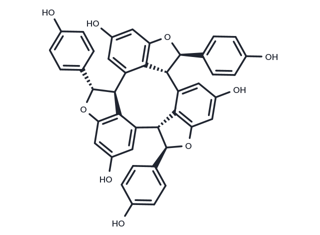 TargetMol Chemical Structure α-Viniferin