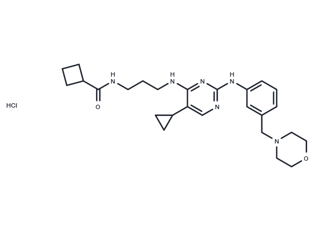 TargetMol Chemical Structure MRT67307 HCl (1190378-57-4(free base))