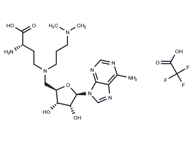 TargetMol Chemical Structure GSK2807 Trifluoroacetate