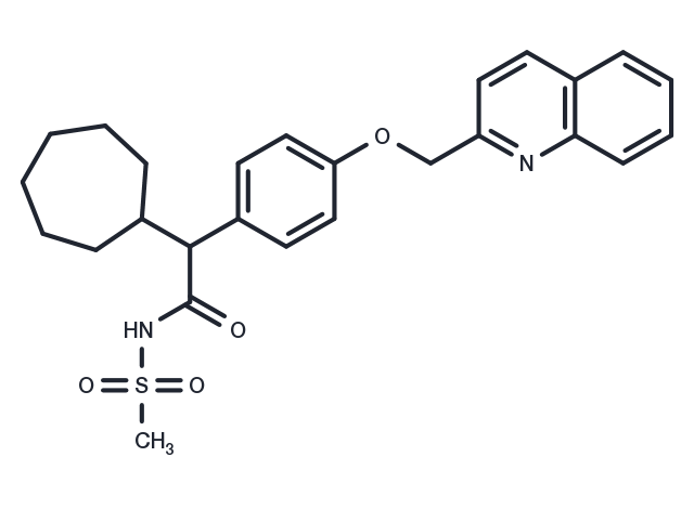 TargetMol Chemical Structure LTB4-IN-1