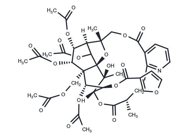 Wilforgine Chemical Structure
