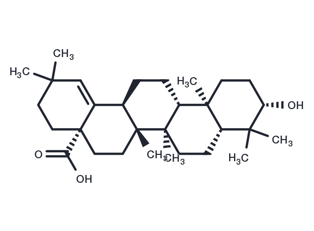 TargetMol Chemical Structure Morolic acid