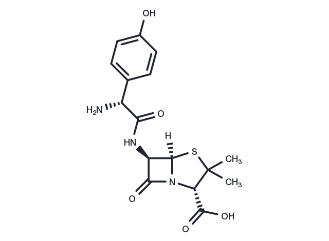 TargetMol Chemical Structure Amoxicillin