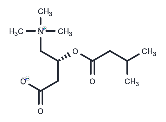 TargetMol Chemical Structure Isovalerylcarnitine
