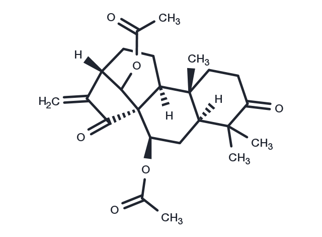 Glaucocalyxin A diacetate Chemical Structure