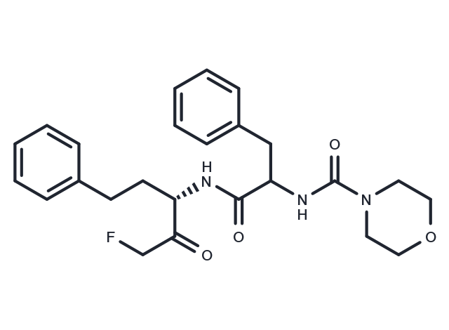 P 34081 Chemical Structure