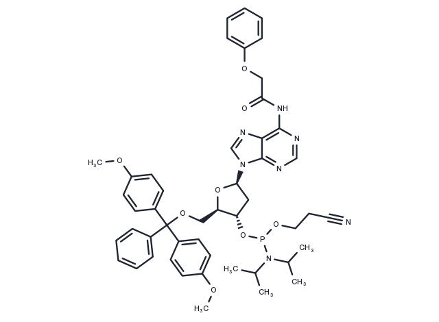 DMT-dA(PAc) Phosphoramidite Chemical Structure