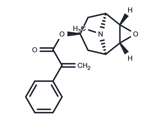 TargetMol Chemical Structure Apohyoscine