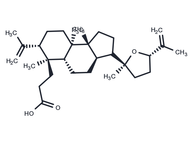 TargetMol Chemical Structure Richenoic acid