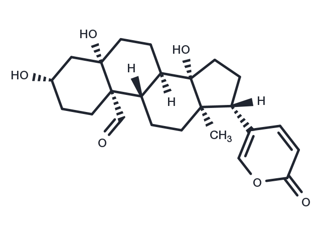 TargetMol Chemical Structure Hellebrigenin