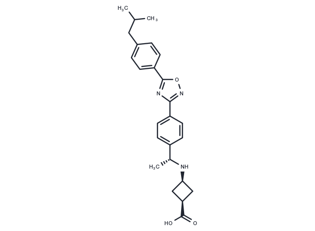 PF-462991 Chemical Structure