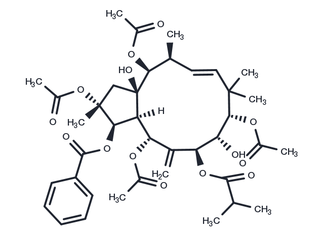 TargetMol Chemical Structure Jatrophane 4