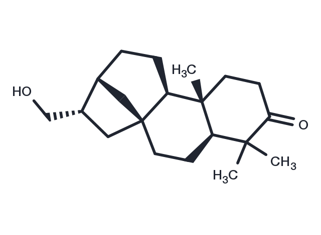 TargetMol Chemical Structure ent-17-Hydroxykauran-3-one