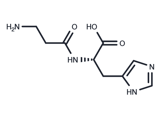 L-Carnosine Chemical Structure