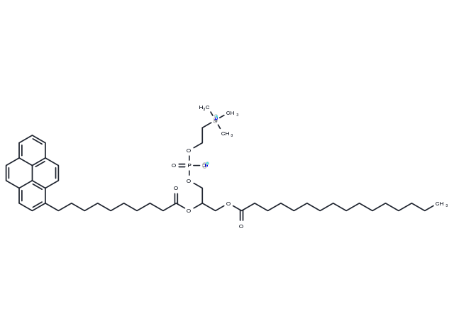 TargetMol Chemical Structure Pyrenelecithin