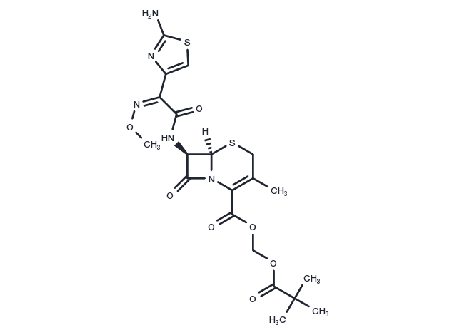 Cefetamet pivoxyl Chemical Structure