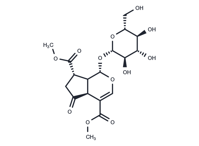 TargetMol Chemical Structure Griselinoside