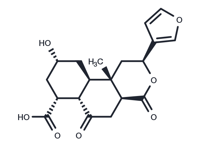 TargetMol Chemical Structure Diosbulbin L