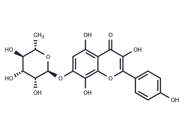 TargetMol Chemical Structure Rhodionin