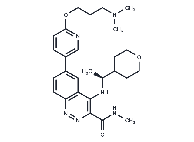 TargetMol Chemical Structure ATM Inhibitor-1