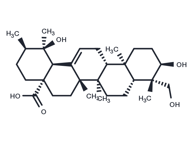 TargetMol Chemical Structure Barbinervic acid
