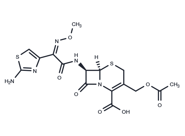 TargetMol Chemical Structure Cefotaxime