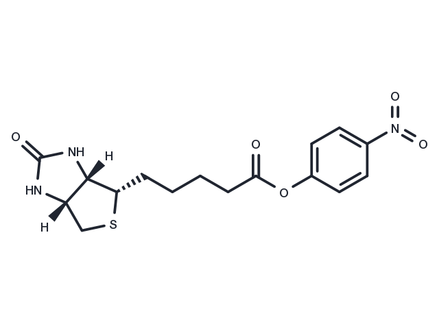 (+)-Biotin-ONP Chemical Structure