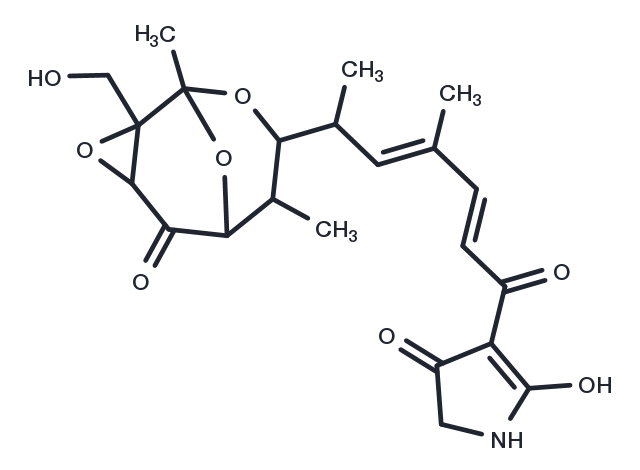 Tirandamycin B Chemical Structure