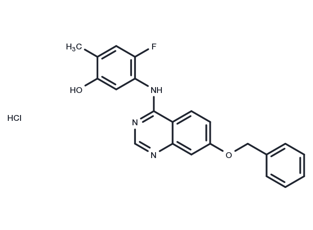 TargetMol Chemical Structure ZM323881 hydrochloride