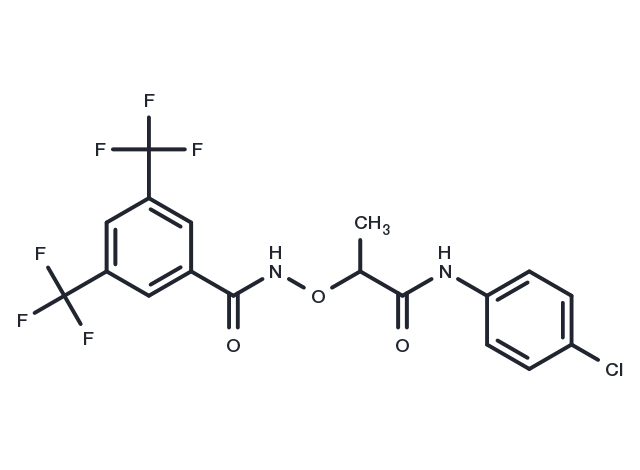 CCG-1423 Chemical Structure