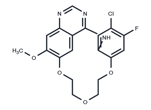 TargetMol Chemical Structure EGFR-IN-73