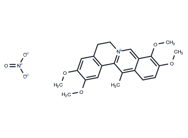 TargetMol Chemical Structure Dehydrocorydaline nitrate