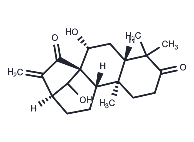 TargetMol Chemical Structure Glaucocalyxin A