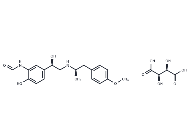TargetMol Chemical Structure Arformoterol Tartrate
