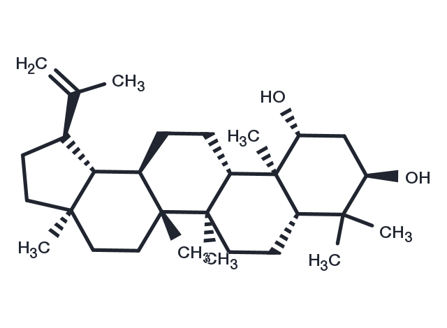 TargetMol Chemical Structure Glochidiol