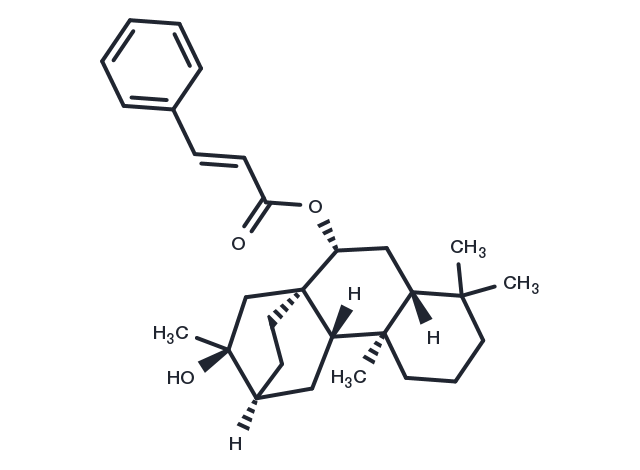 TargetMol Chemical Structure Spiratisanin B