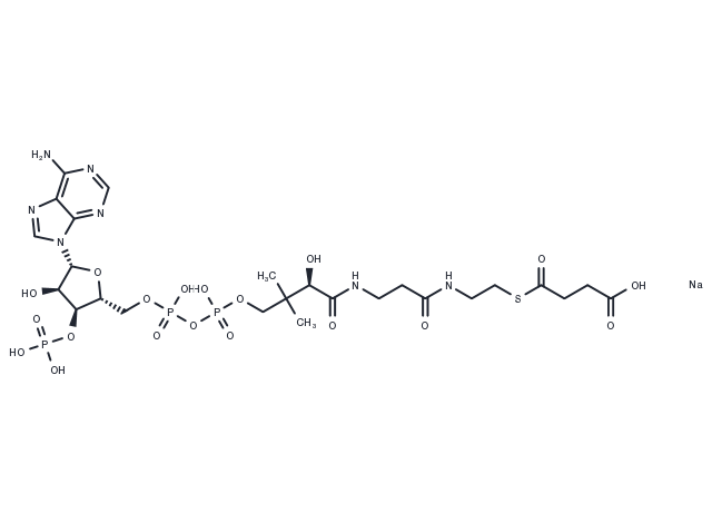 TargetMol Chemical Structure Succinyl-Coenzyme A sodium salt