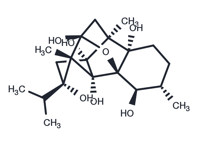 TargetMol Chemical Structure Cinnzeylanol