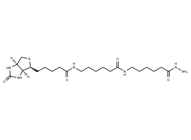 Biotin-XX hydrazide Chemical Structure