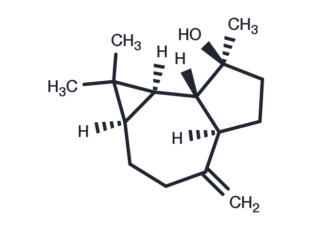 TargetMol Chemical Structure Spathulenol