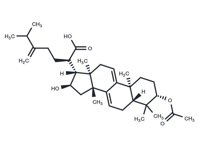 TargetMol Chemical Structure Dehydropachymic acid