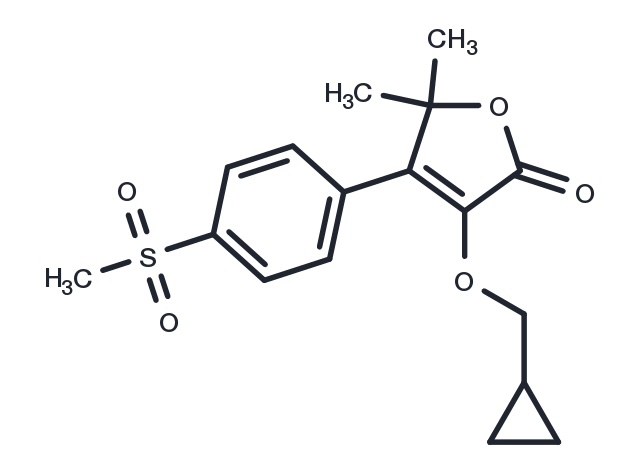 TargetMol Chemical Structure Firocoxib
