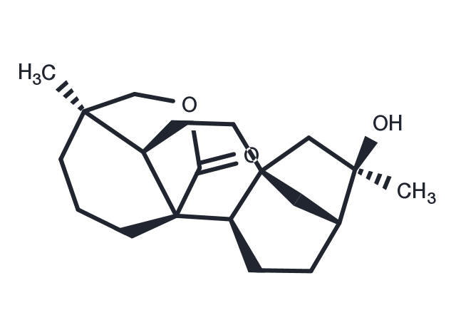 TargetMol Chemical Structure Neotripterifordin