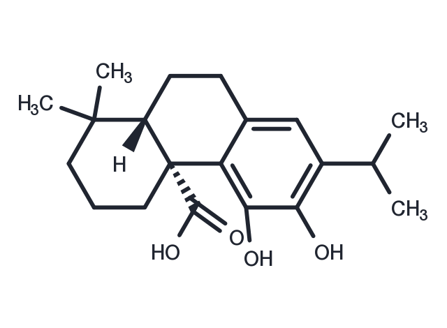 TargetMol Chemical Structure Carnosic acid