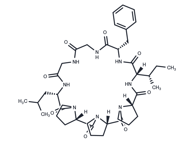 TargetMol Chemical Structure Heterophyllin B
