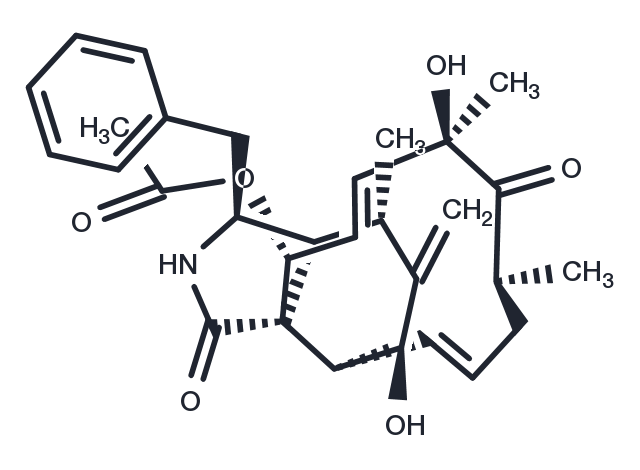 TargetMol Chemical Structure Cytochalasin D