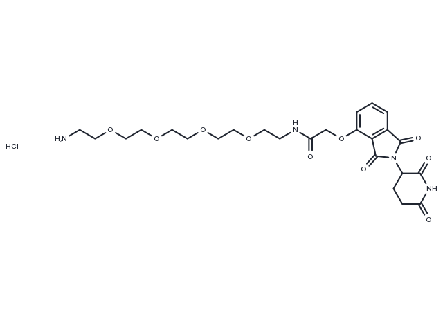 Thalidomide-O-amido-PEG4-C2-NH2 hydrochloride Chemical Structure
