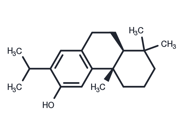 TargetMol Chemical Structure Ferruginol