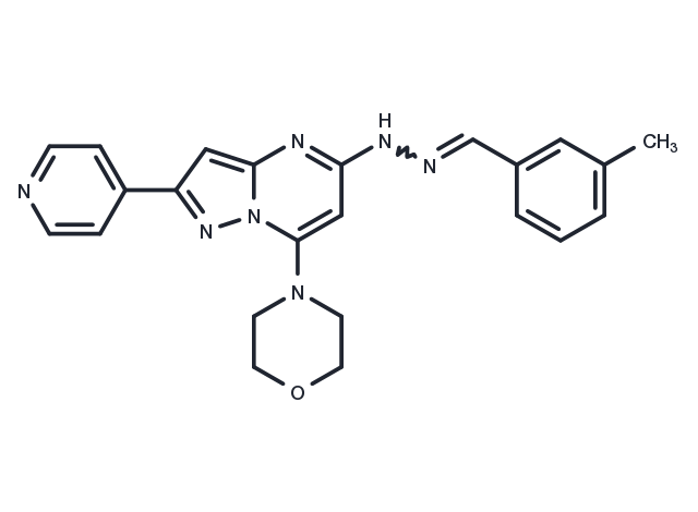 TargetMol Chemical Structure APY0201