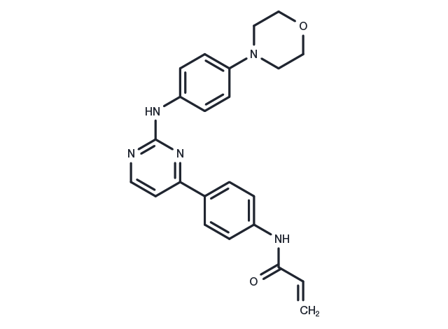 JAK3-IN-11 Chemical Structure